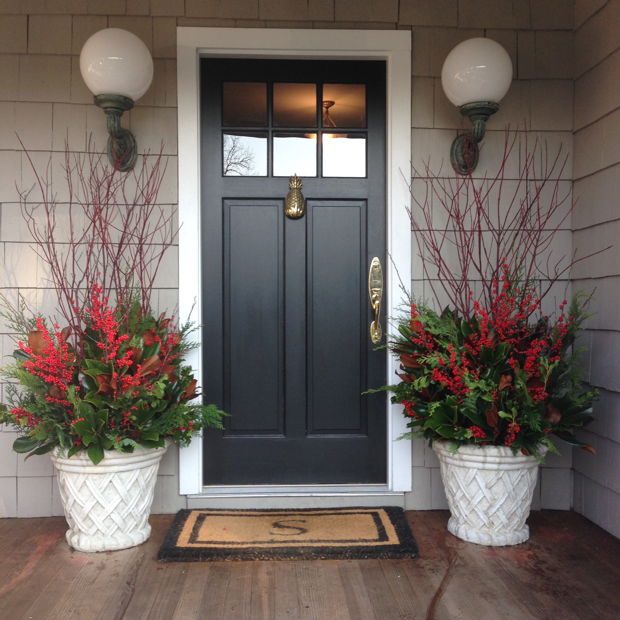 Holly Holly Plant (1)